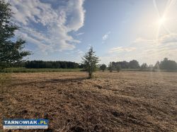 4 działki z Warunkami Zabudowy - Obrazek 2