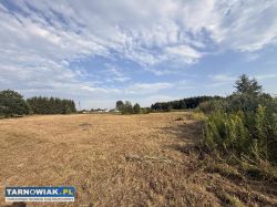 4 działki z Warunkami Zabudowy - Obrazek 4