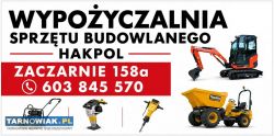 Wozidło wywrotka budowlane wynajem wypożyczalnia - Obrazek 4
