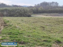 Szynwałd - widokowa, działka budowlana - Obrazek 4