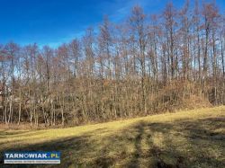 Działka rolna Szczepanowice - Obrazek 2