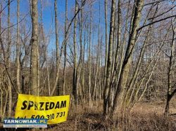 Działka rolna Szczepanowice - Obrazek 1