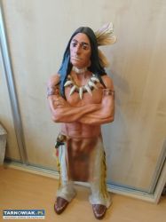 Indianin z gipsu - Obrazek 2