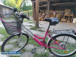 Sprzedam rower damski - Obrazek 1