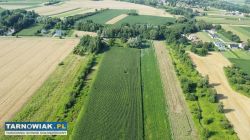 Działka rolno-bud 1,15 ha z WZ – Łęka Siedlecka - Obrazek 3