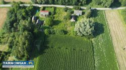 Działka rolno-bud 1,15 ha z WZ – Łęka Siedlecka - Obrazek 2