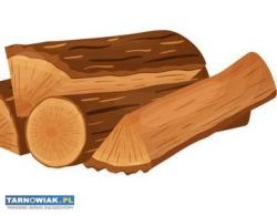 Drewno kominkowe - Obrazek 1