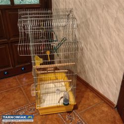 Klatka dla papug, ptaków + dodatki - Obrazek 2