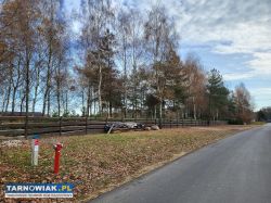 Działka inwestycyjna gotowa infrastruktura, media - Obrazek 1