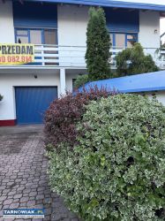 Sprzedam dom w Tarnowie - Obrazek 1