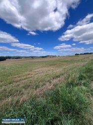 Łeki Górne 1.6 ha - Obrazek 1