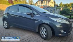 Ford Fiesta 1.6TDCI bez dpf - Obrazek 1