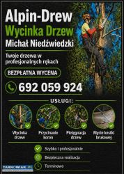 Wycinka przycinka drzew pielęgnacja koszenie - Obrazek 1