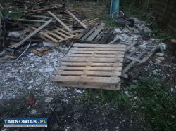 Opał  palety drewno plyty - Obrazek 4