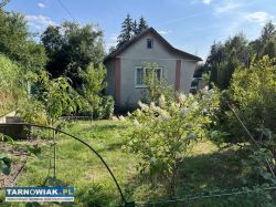 Sprzedam działkę ROD Leliwa – Tarnów - Obrazek 2