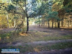 Wierzchosławice działka Budowlana 11 ar 16 ar - Obrazek 1