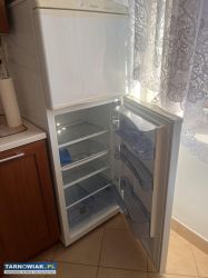 Lodówka Amica AC1103P z zamrażalnikiem - Obrazek 1
