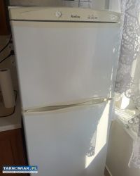 Lodówka Amica AC1103P z zamrażalnikiem - Obrazek 3