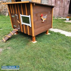 Kurnik domek dla Kurek - Obrazek 1