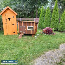 Kurnik domek dla Kurek - Obrazek 4
