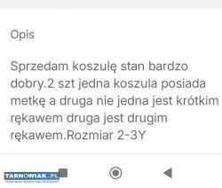 Koszule na rozpoczęcie roku - Obrazek 4