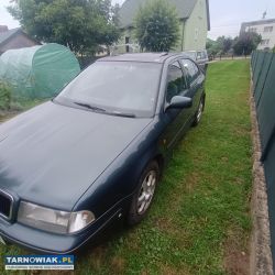Skoda octavia 1.9tdi 110km - Obrazek 3