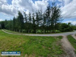 Zaborów -44 ar, tanio - Obrazek 3