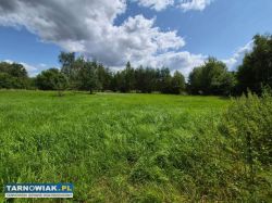 Zaborów -44 ar, tanio - Obrazek 4