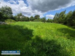 Zaborów -44 ar, tanio - Obrazek 1