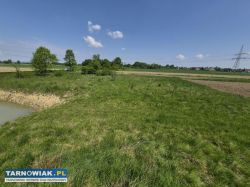 Strzelce Wielkie, dom na dużej dzialce - Obrazek 3