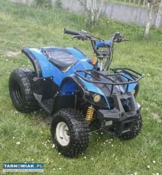 Quad 110 - Obrazek 1