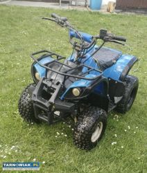 Quad 110 - Obrazek 3