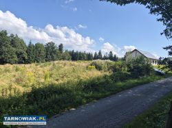 Pogórze Ciężkowickie, działka budowlana przy lesie - Obrazek 1