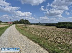 Szynwałd - widokowa działka , 30 arów - Obrazek 1
