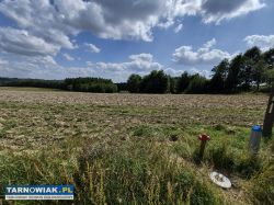 Szynwałd - widokowa działka , 30 arów - Obrazek 2