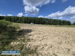 Szynwałd - widokowa działka , 30 arów - Obrazek 3