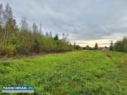 Wierzchsławice dom + 58 arów - Obrazek 4