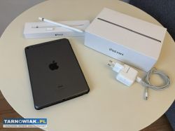 iPad mini 5 z WiFi | LTE gwiezdna szarość + pensil - Obrazek 1