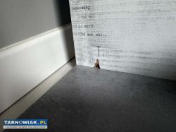 Szafka - Obrazek 3