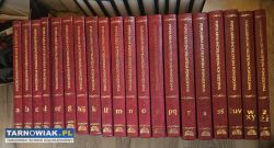 Encyklopedia powszechna i geograficzna - Obrazek 2
