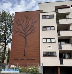 3 pokoje Dom pod jesionem Lwowska Tarnów 51 m - Obrazek 1