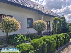 Łękawica dom sprzedam - Obrazek 3