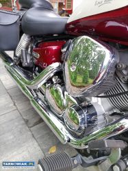 Witam sprzedam - Obrazek 2