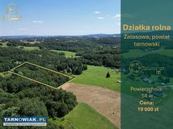 Atrakcyjna działka rolno-leśna 58 ar w super cenie - Obrazek 1