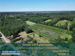 3działki budowlane z wz-blisko centrum szczucina - Obrazek 1
