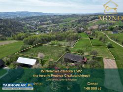 Widokowa działka 58 ar z WZ na 2 domy - Obrazek 1
