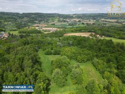 Siedlisko 2,7 ha na terenie gminy Tuchów!! - Obrazek 2