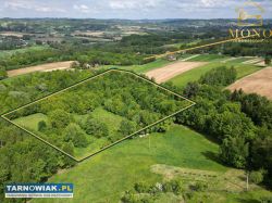 Siedlisko 2,7 ha na terenie gminy Tuchów!! - Obrazek 4