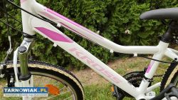 Rower 24 Kross Lea alu rama S 12 cali bdb stan - Obrazek 2
