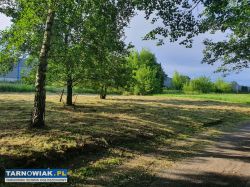 Poszukuje zleceń - Obrazek 1